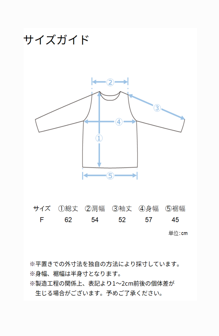 EC限定　軽量ボンディングバックラメロゴプルオーバー