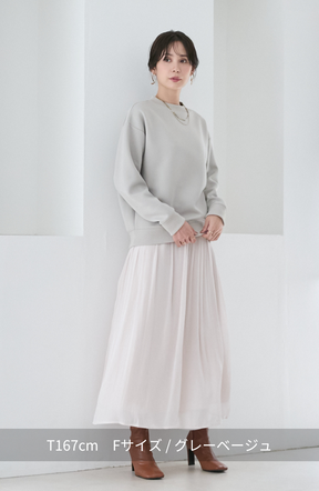 EC限定　軽量ボンディングバックラメロゴプルオーバー